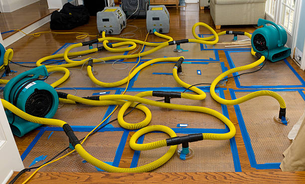 Professional Structural Drying And Dehumidification technician working in Kensington, NY